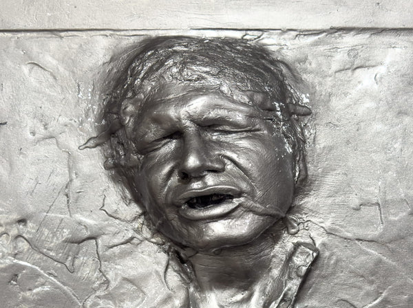 Han Solo in Carbonite Custom Printed Door wrap