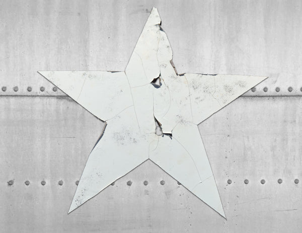 Aluminum rivets Sheet Vinyl Door wrap