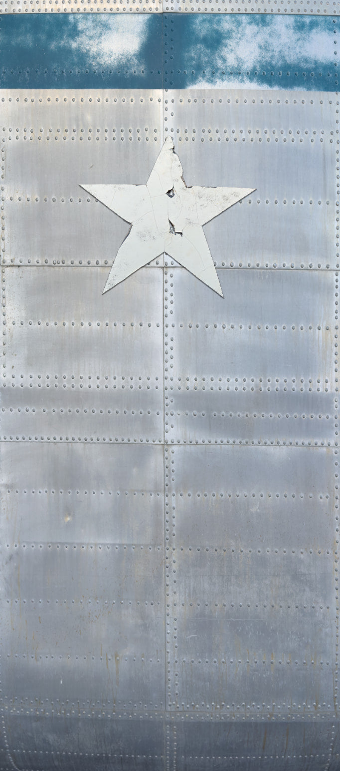 Aluminum Rivets Blue Strip Vinyl Door wrap