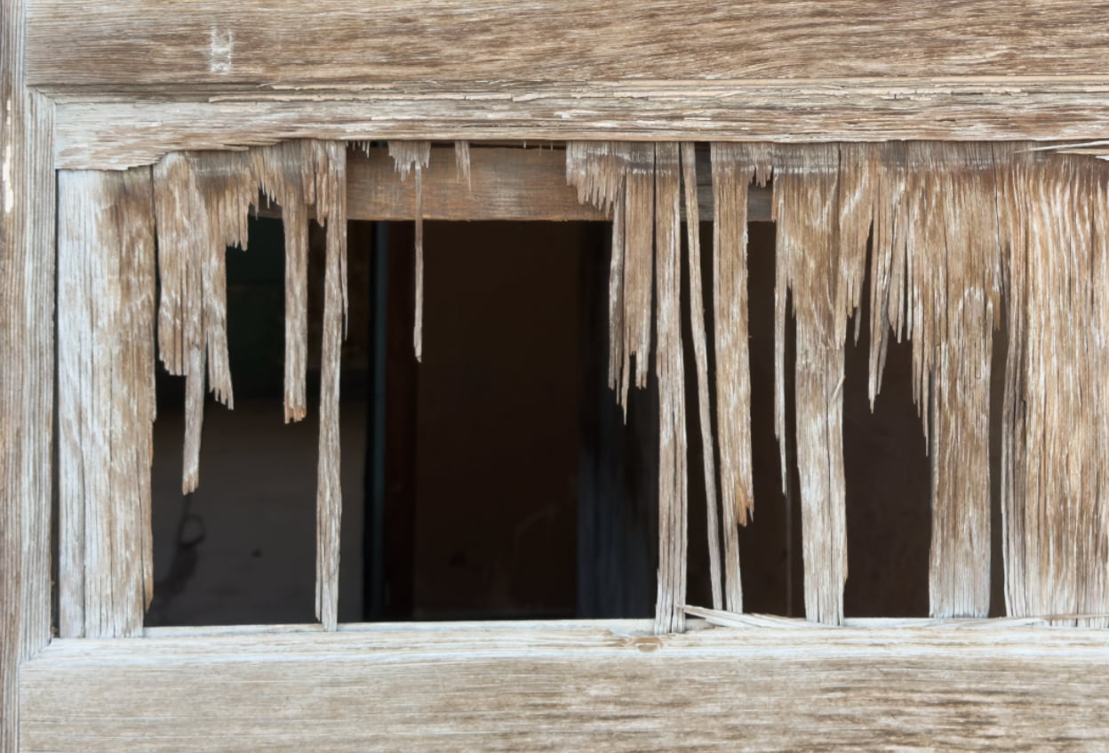 Wendover Abandoned Barrack Wooden Right Door Wrap Close up wood