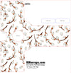 Design template for decorative door handle pack plate with floral pattern, sourced from RMwraps.com.