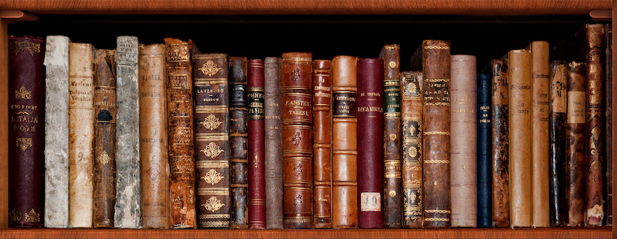 Old Book Shelf Door Wrap