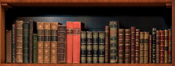 Old Book Shelf Door Wrap