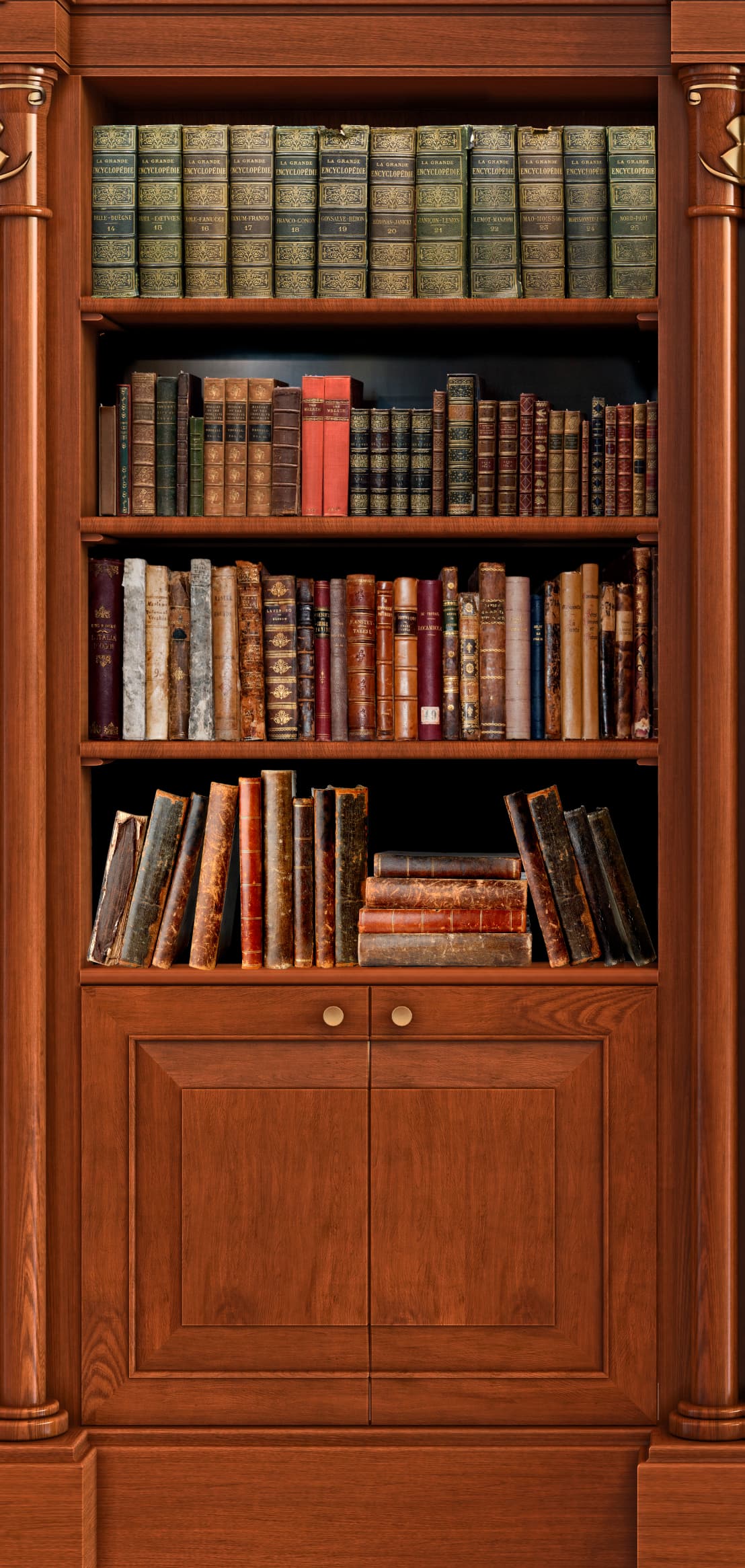 Old Book Shelf Door Wrap