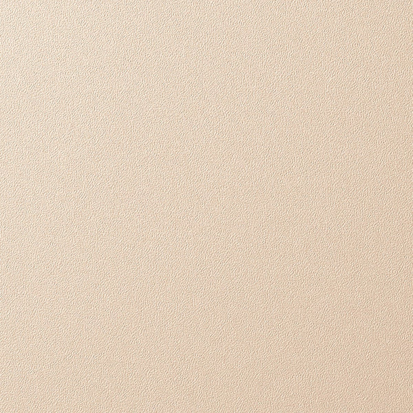 PS-096